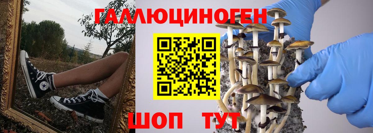 Галлюциногенные грибы GOLDEN TEACHER Ярцево